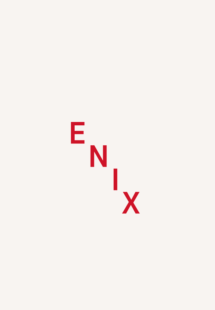 ENIX Brewing CO
